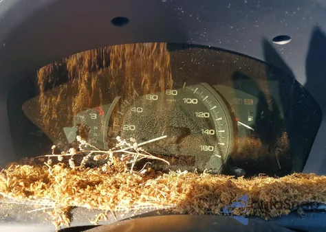 2006 Honda Accord Se из США, поврежденный, VIN 1HGCM56316A104534